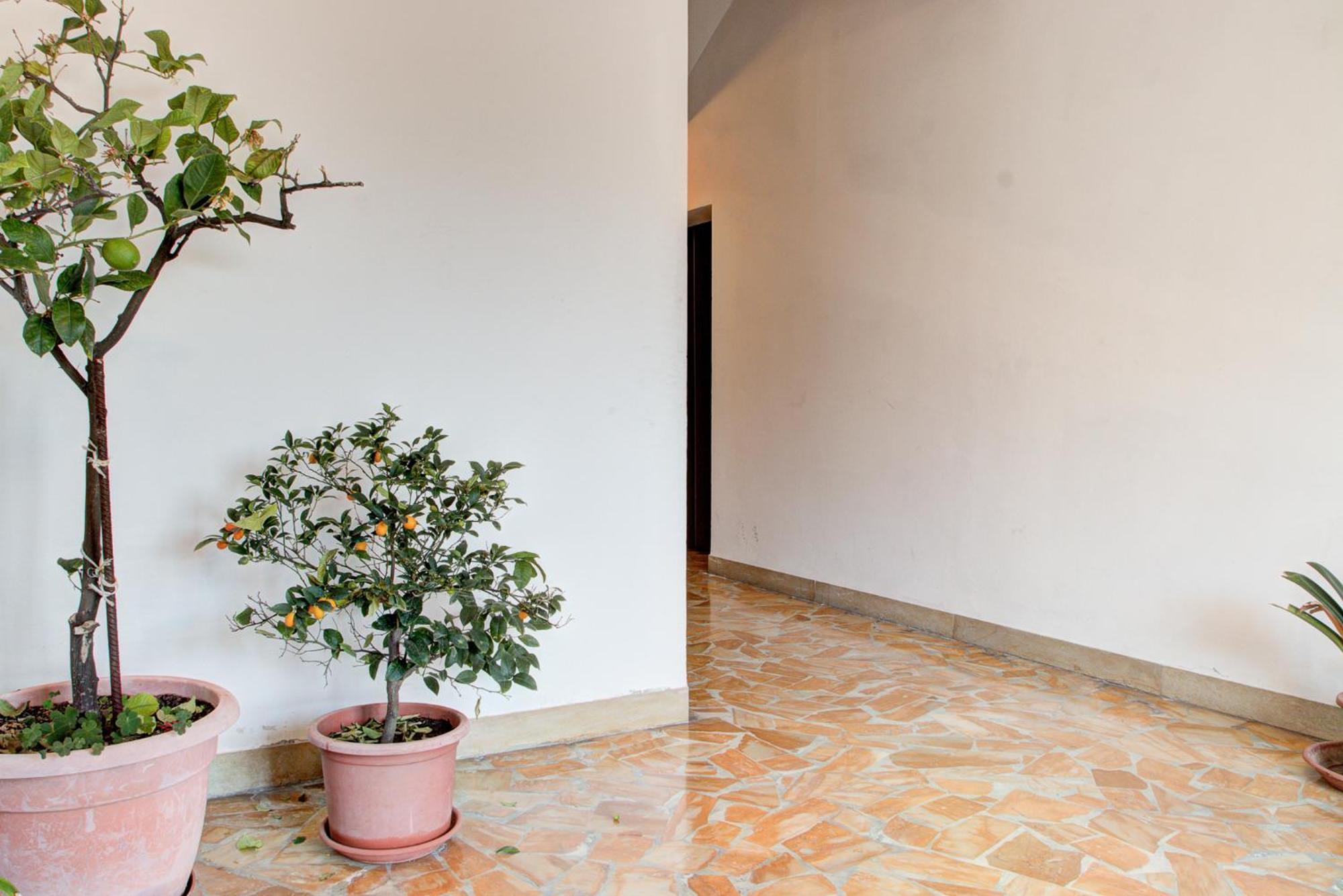 Casa Emilia Apartment Volterra Exterior photo